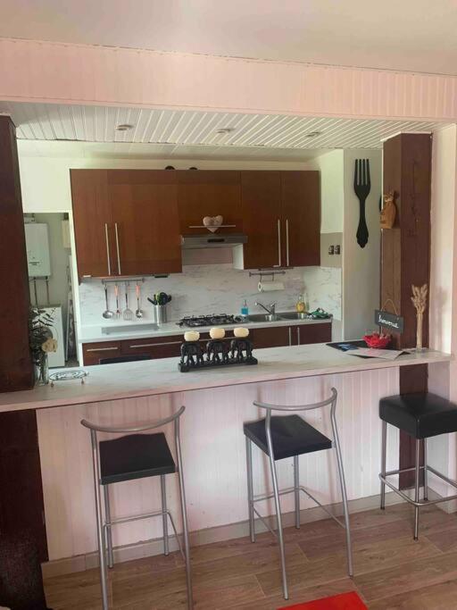 Villa 3 Chambres Parking Et Terrasse Plaisance-du-Touch Eksteriør billede